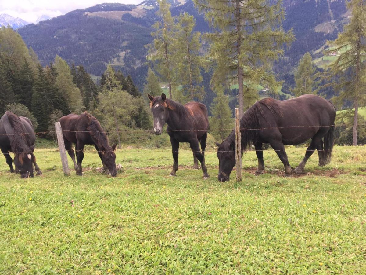 شقة Lindbichlhof Urlaub Am Bio Bauernhof سانكت يوهان ايم بونغ المظهر الخارجي الصورة