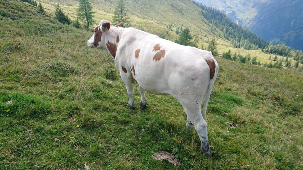 شقة Lindbichlhof Urlaub Am Bio Bauernhof سانكت يوهان ايم بونغ المظهر الخارجي الصورة