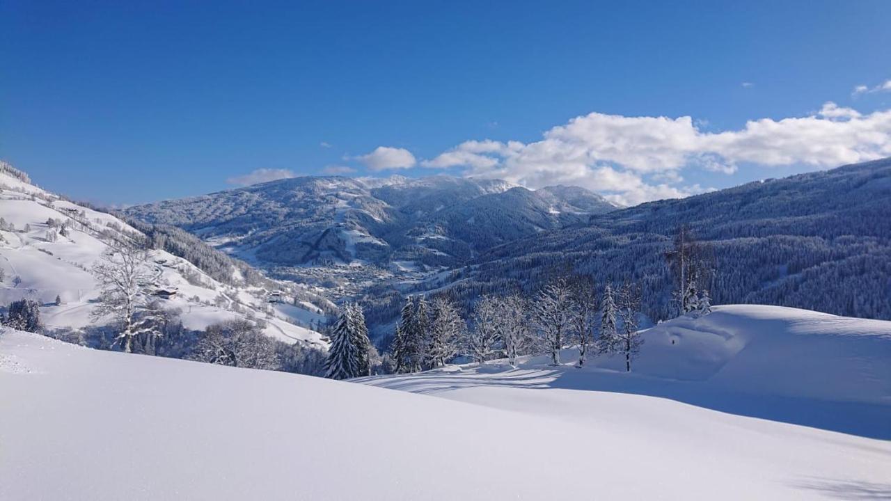 شقة Lindbichlhof Urlaub Am Bio Bauernhof سانكت يوهان ايم بونغ المظهر الخارجي الصورة