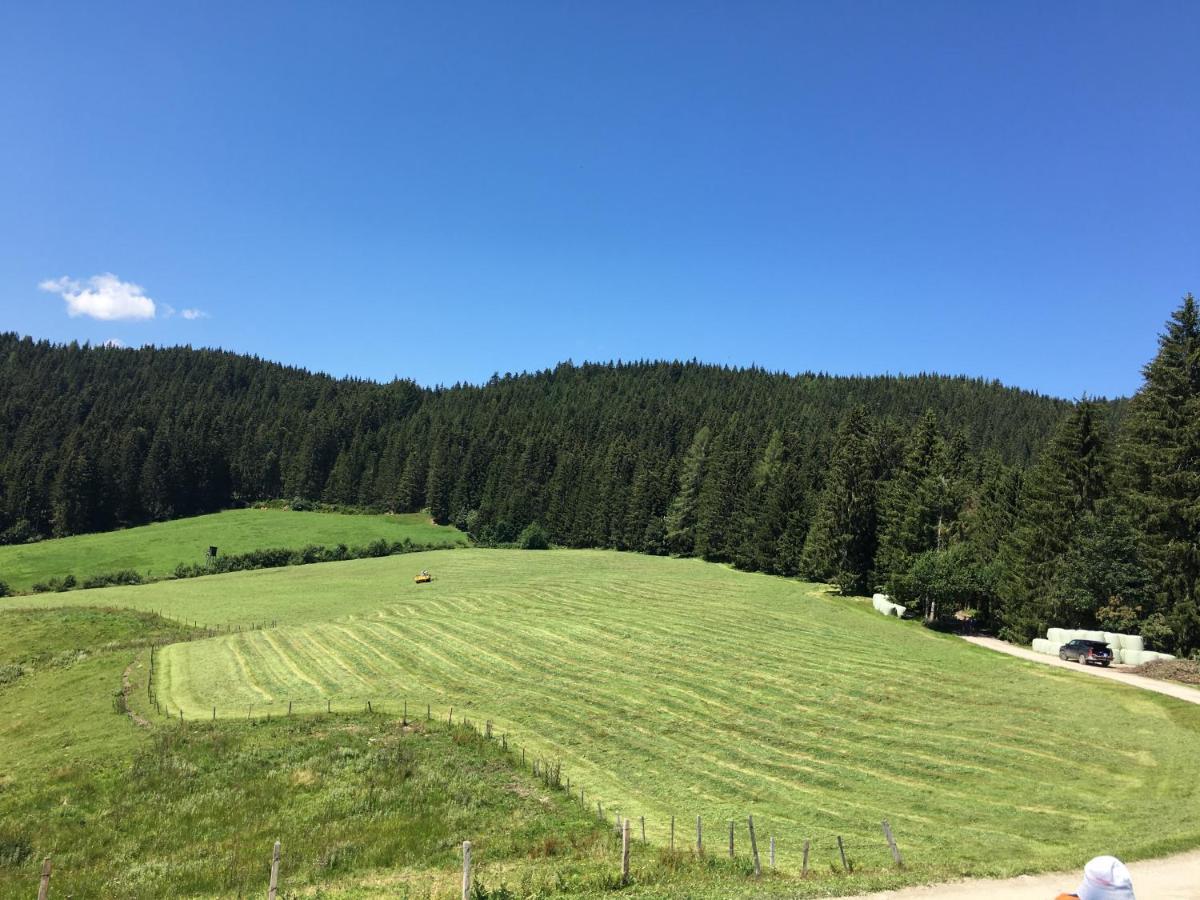 شقة Lindbichlhof Urlaub Am Bio Bauernhof سانكت يوهان ايم بونغ المظهر الخارجي الصورة