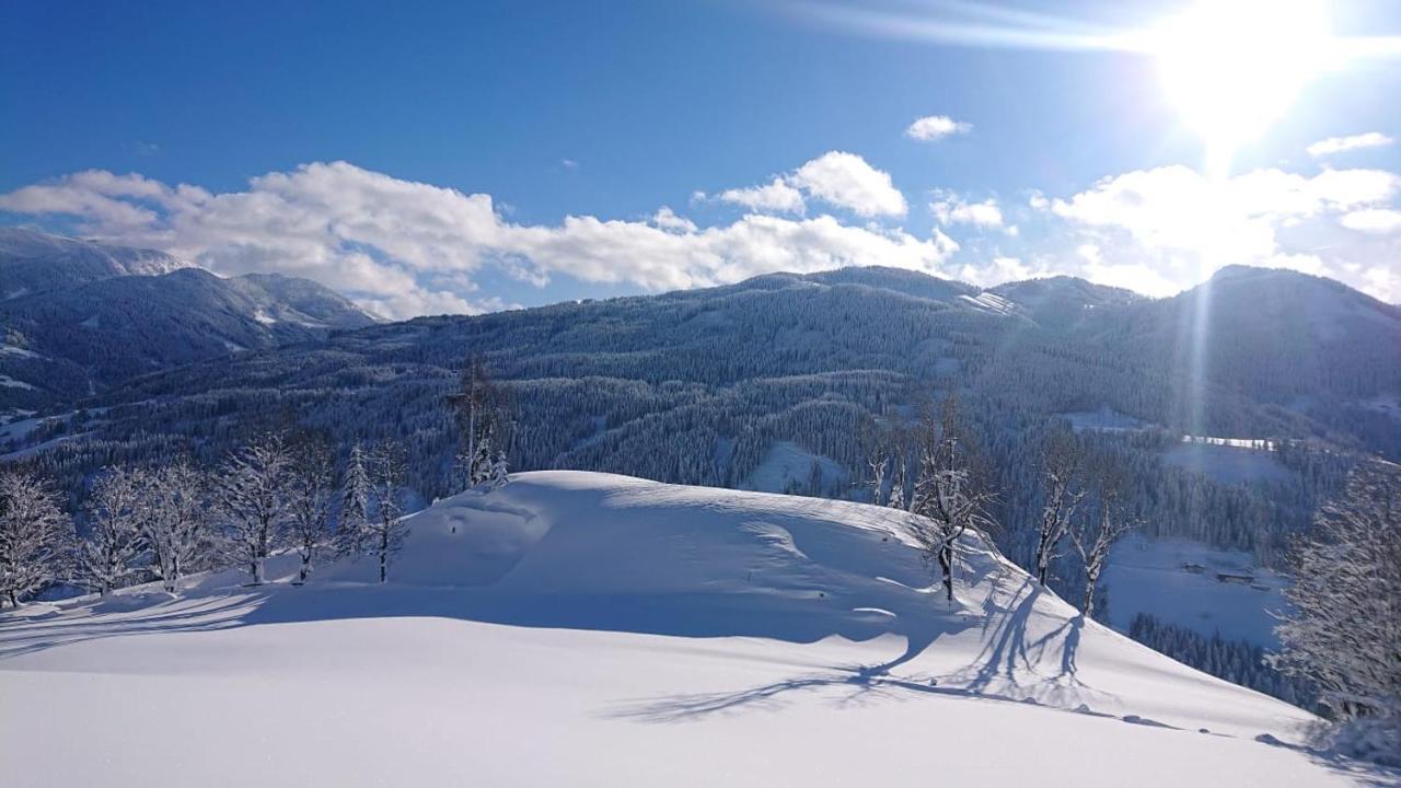 شقة Lindbichlhof Urlaub Am Bio Bauernhof سانكت يوهان ايم بونغ المظهر الخارجي الصورة
