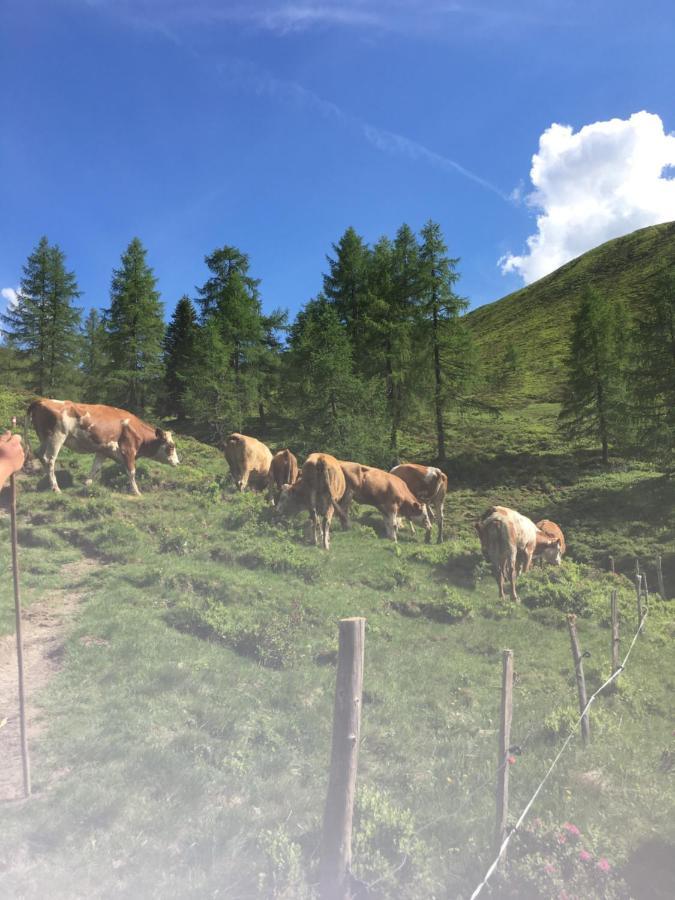 شقة Lindbichlhof Urlaub Am Bio Bauernhof سانكت يوهان ايم بونغ المظهر الخارجي الصورة