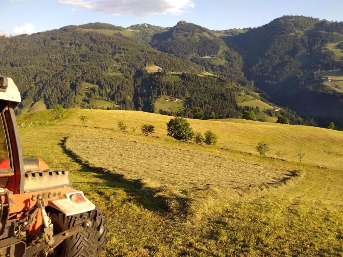 شقة Lindbichlhof Urlaub Am Bio Bauernhof سانكت يوهان ايم بونغ المظهر الخارجي الصورة
