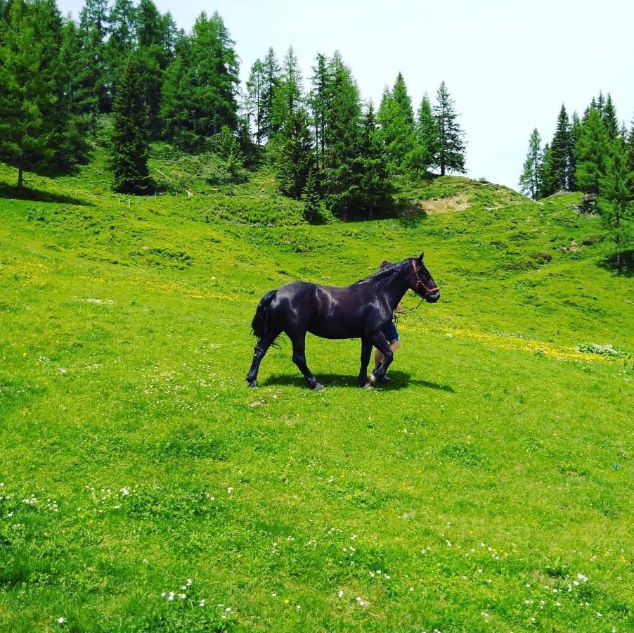 شقة Lindbichlhof Urlaub Am Bio Bauernhof سانكت يوهان ايم بونغ المظهر الخارجي الصورة