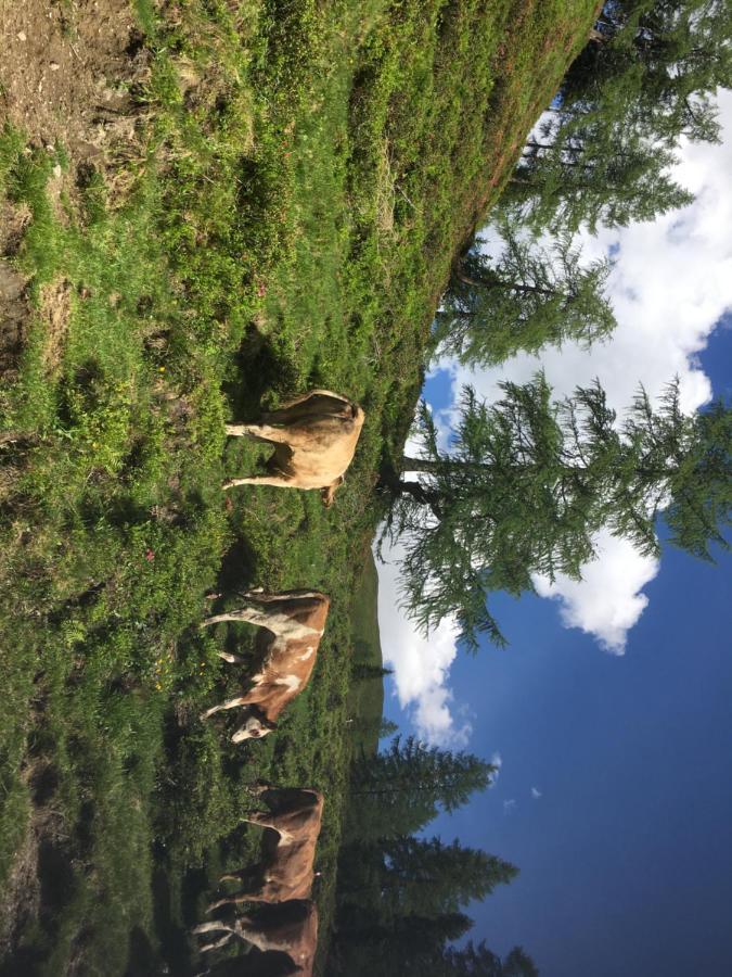 شقة Lindbichlhof Urlaub Am Bio Bauernhof سانكت يوهان ايم بونغ المظهر الخارجي الصورة
