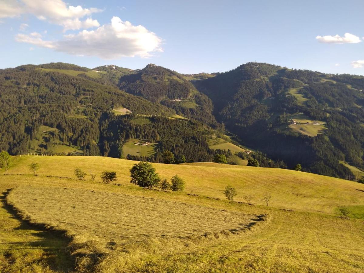 شقة Lindbichlhof Urlaub Am Bio Bauernhof سانكت يوهان ايم بونغ المظهر الخارجي الصورة