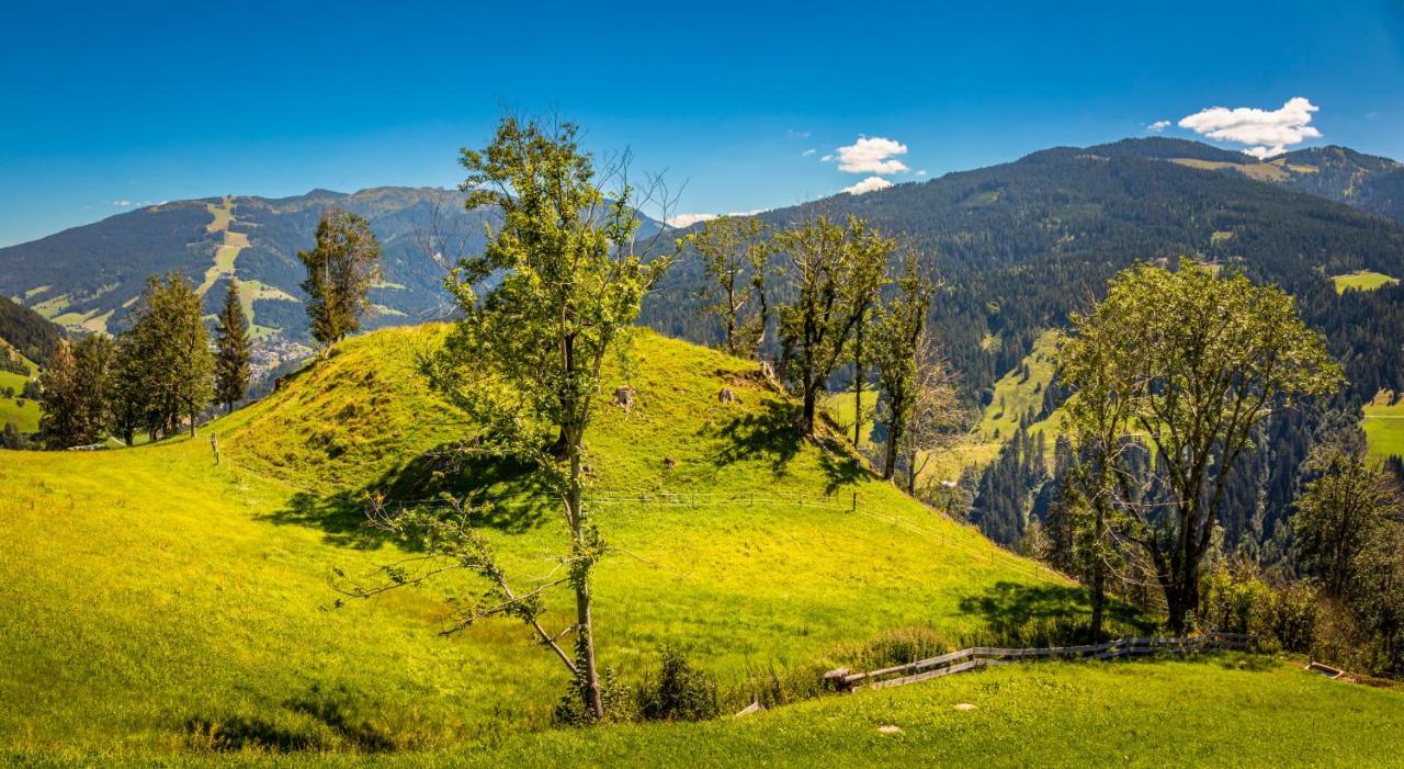شقة Lindbichlhof Urlaub Am Bio Bauernhof سانكت يوهان ايم بونغ المظهر الخارجي الصورة