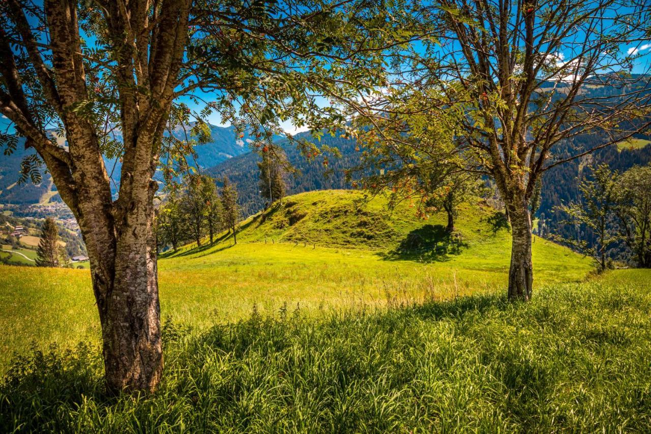شقة Lindbichlhof Urlaub Am Bio Bauernhof سانكت يوهان ايم بونغ المظهر الخارجي الصورة
